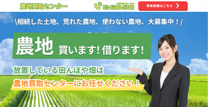 GRIZ HPキャプチャ